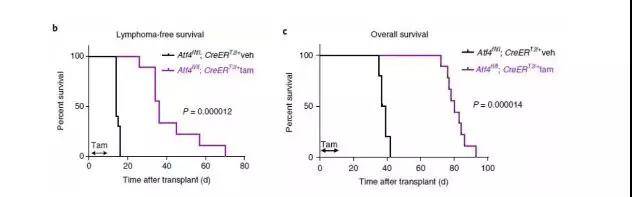 1562205018686145.jpg 微信图片_20190704094736.jpg