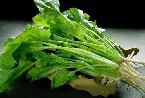 1562569564580329.jpg 微信图片_20190708150417.jpg