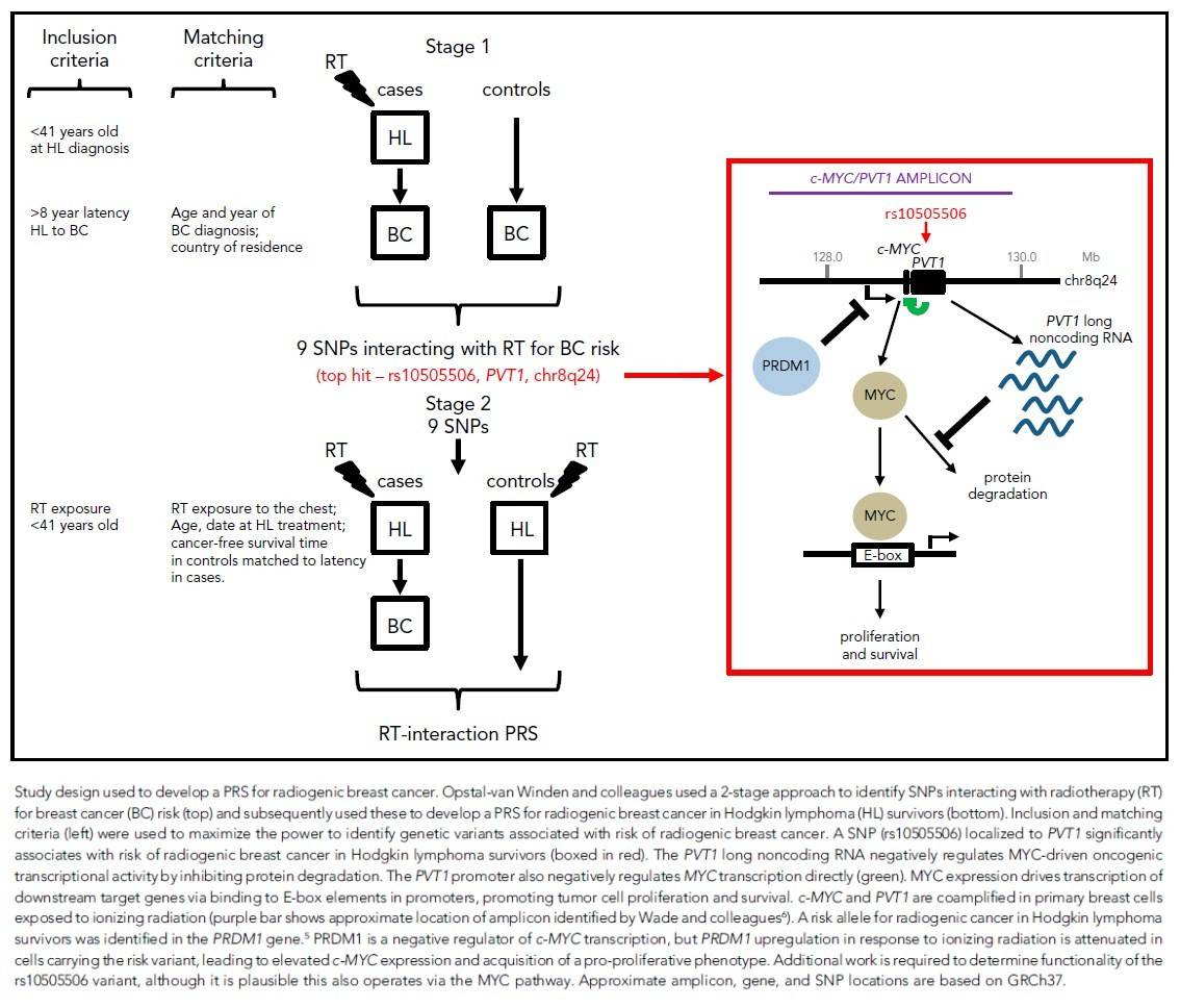1562663049640644.jpg 微信图片_20190709170352.jpg