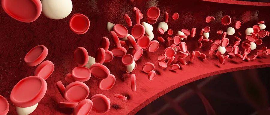 1562917701376085.jpeg 640-1.jpeg