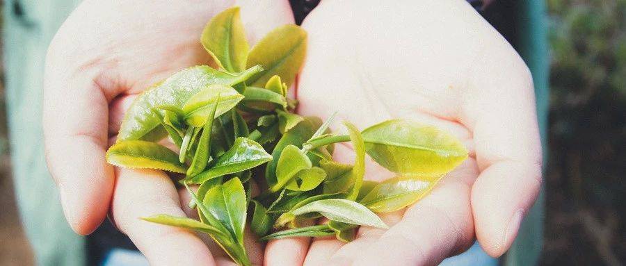 1563156678763762.jpg 微信图片_20190715101102.jpg