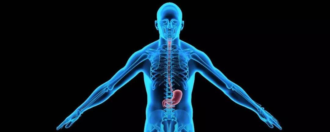 1563160007322987.jpg 微信图片_20190715110434.jpg