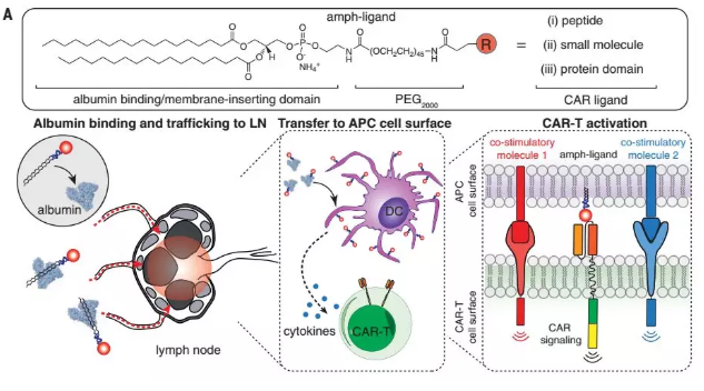 1563256446561045.png image.png