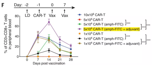 1563256471839511.png image.png