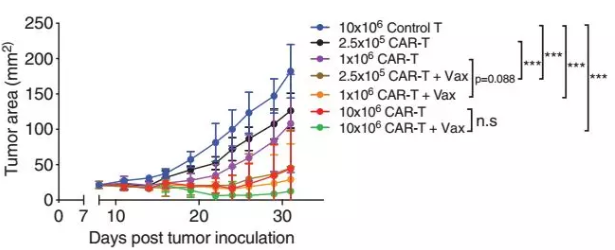 1563256489839450.png image.png