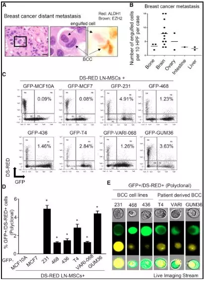 1563265147293785.png 搜狗截图19年07月16日1618_5.png