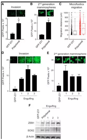 1563265157751383.png 搜狗截图19年07月16日1618_6.png