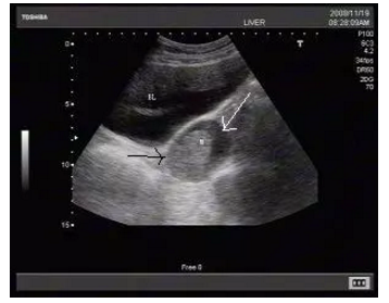 1563350789798199.png 搜狗截图19年07月17日1602_5.png