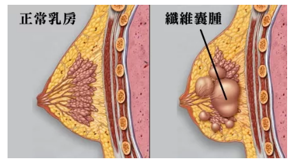1563350814793307.png 搜狗截图19年07月17日1603_6.png