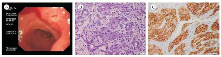 1563935669576170.png 1563935669576170.png