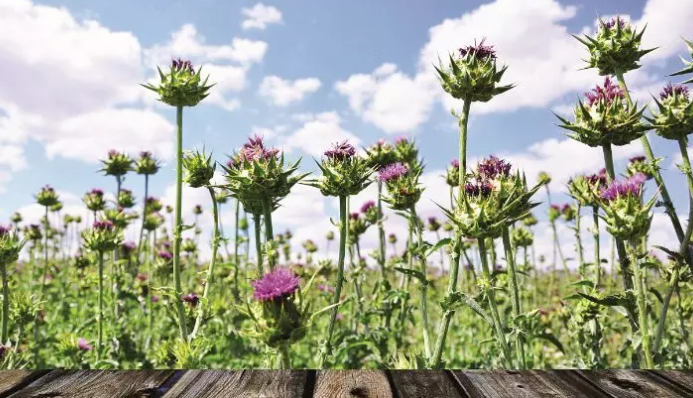 1563950344851095.png image.png