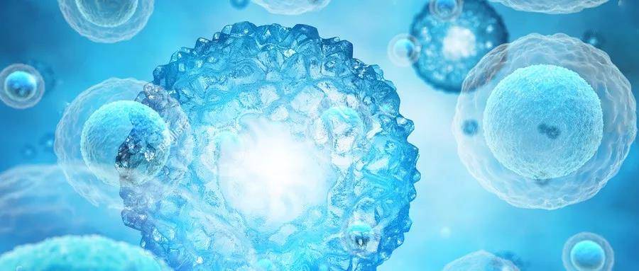 1563965457153949.jpg 4.jpg