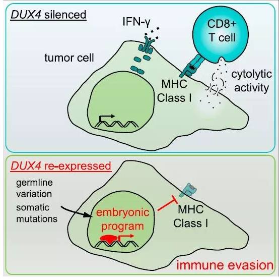 1564453630555962.png image.png