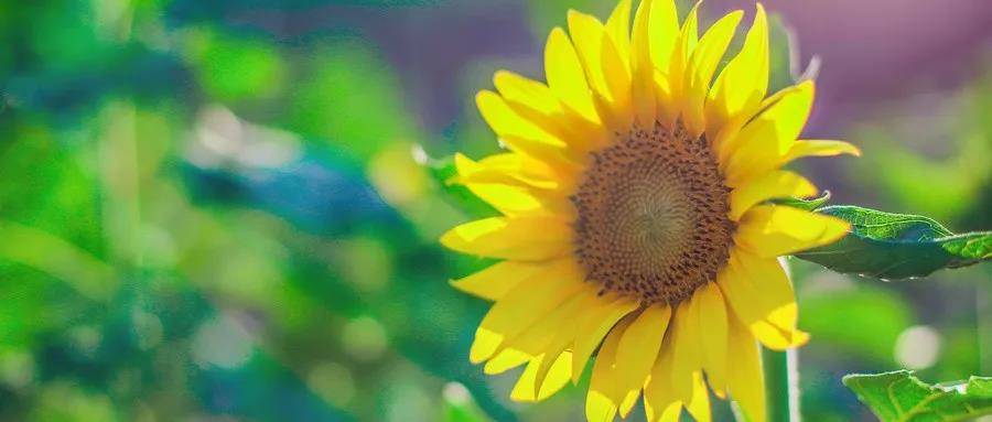 1564543235871995.jpg 微信图片_20190731111721.jpg