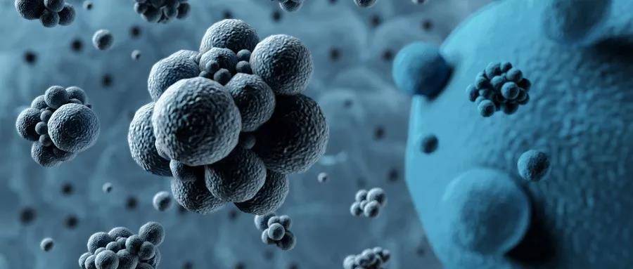 1564716298936326.jpg 微信图片_20190802112021.jpg