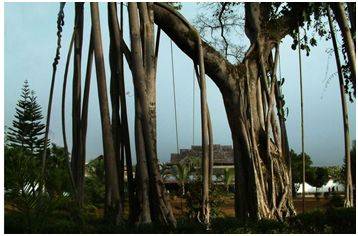 1565145247585893.jpg 微信图片_20190807103354.jpg