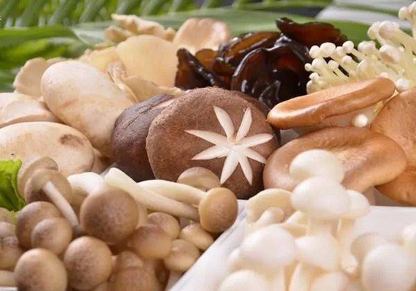 1565255436485971.jpeg 640-9.jpeg