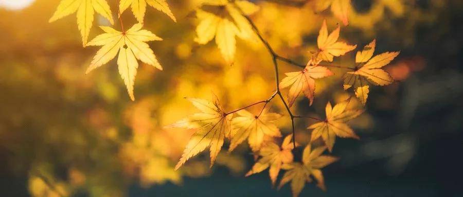 1565749733273059.jpg 微信图片_20190814102615.jpg