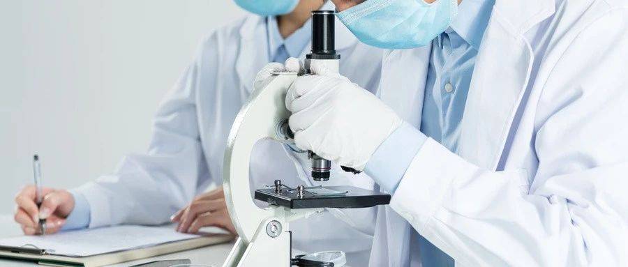 1565833209593101.jpg 微信图片_20190815093938.jpg