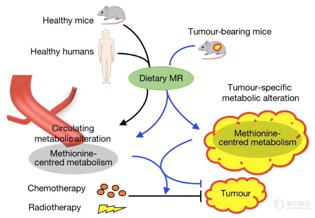 1565951446790485.jpg 微信图片_20190816183022.jpg
