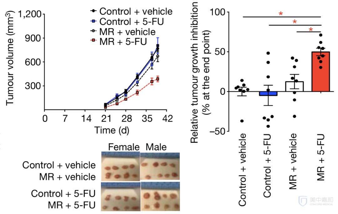 1565951463545661.jpg 微信图片_20190816183020.jpg