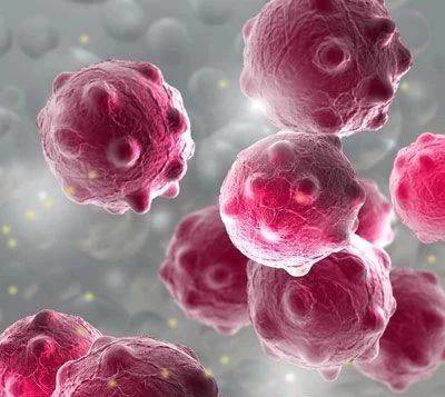 1566352432926653.jpg 微信图片_20190821095304.jpg