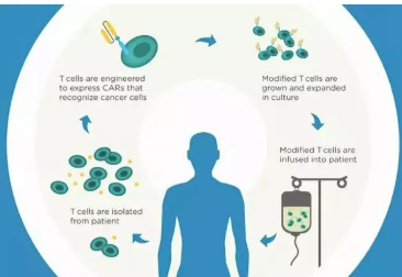 1566532374211332.png image.png