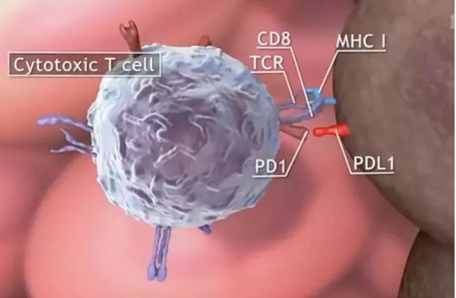 1566532427669259.png image.png