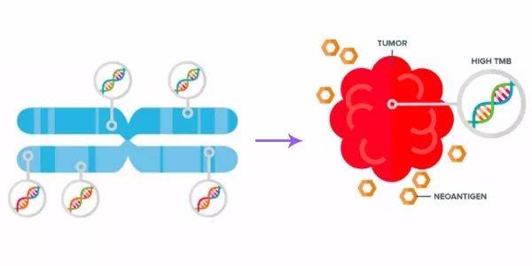 1567130054147991.jpeg 640-3.jpeg