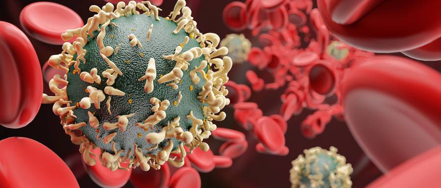 1567499462263190.jpg 摄图网_400133897_wx.jpg