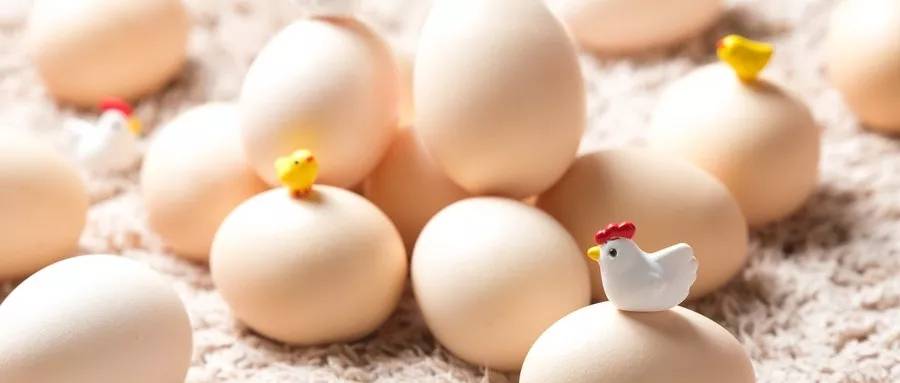 1567559590193659.jpg 640.webp (5).jpg