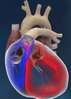 1567563378655044.png image.png