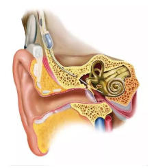 1567563461382064.png image.png