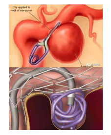 1567563485688853.png image.png