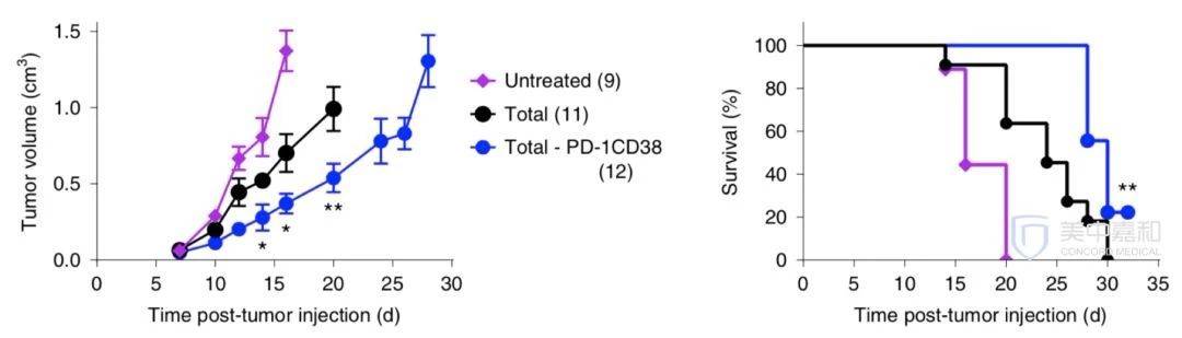 1567646284198373.jpg 微信图片_20190905091740.jpg