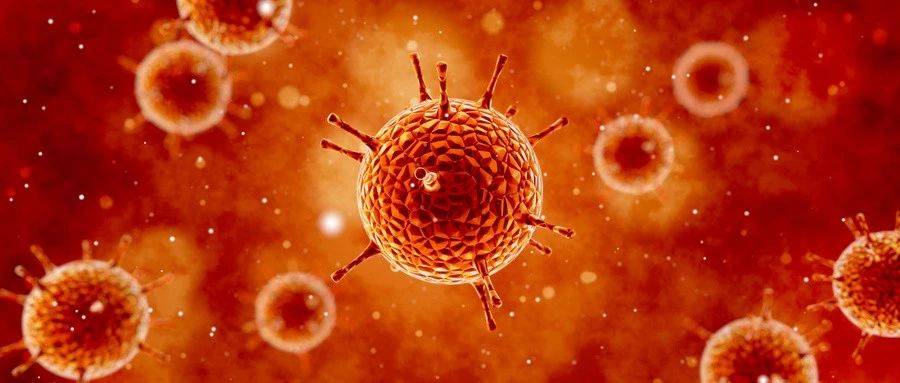 1567646320386294.jpg 微信图片_20190905091744.jpg