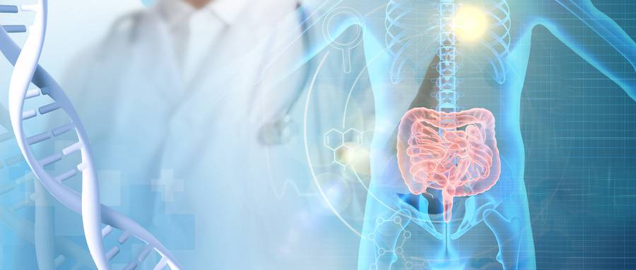 1568863269290320.jpg 摄图网_400655537_wx.jpg