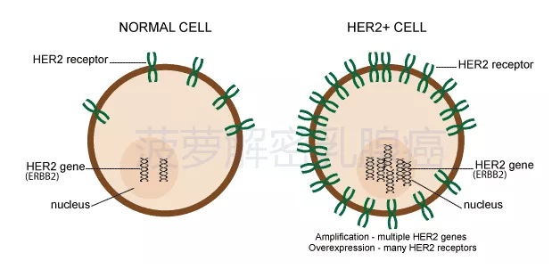 1571282879970291.png image.png