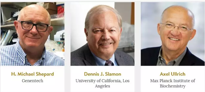 1571282909519620.png image.png