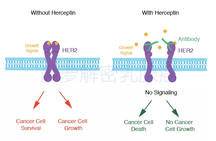 1571283458699378.png image.png