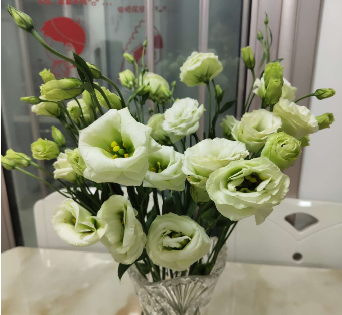 1571362106871755.png image.png