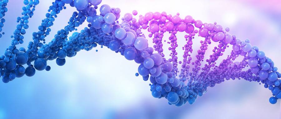 1572486421205836.jpg 摄图网_400077451_wx.jpg