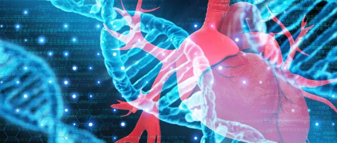 1572940433338387.png 搜狗截图19年11月05日1551_15.png