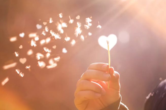 1573024848307923.png 搜狗截图19年11月06日1519_2.png