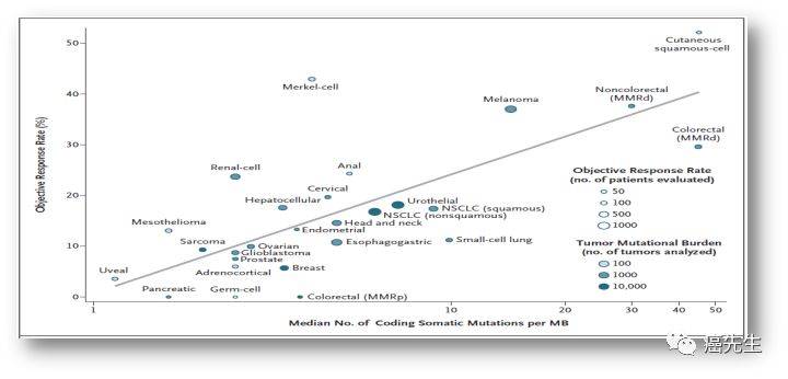 1573027462912996.jpeg 640-3.jpeg