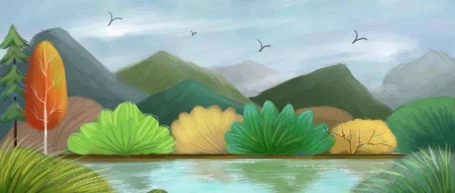 1573781548795417.jpg 13.jpg