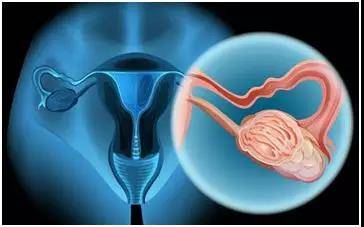 1574837597741144.jpg 4.jpg