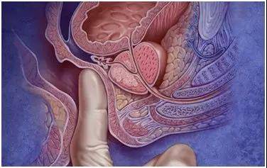 1574837701477355.jpg 8.jpg