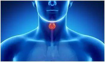 1574837715312435.jpg 1574837715312435.jpg