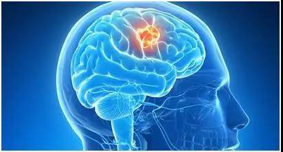 1574837845399390.jpg 14.jpg